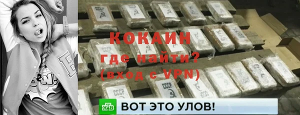 гидра Алексин