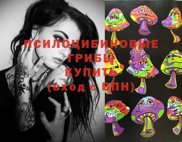 apvp Алзамай