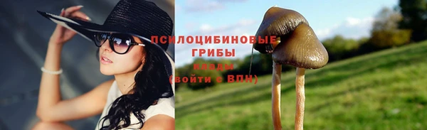 ПСИЛОЦИБИНОВЫЕ ГРИБЫ Абдулино