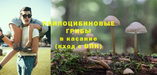 apvp Алзамай